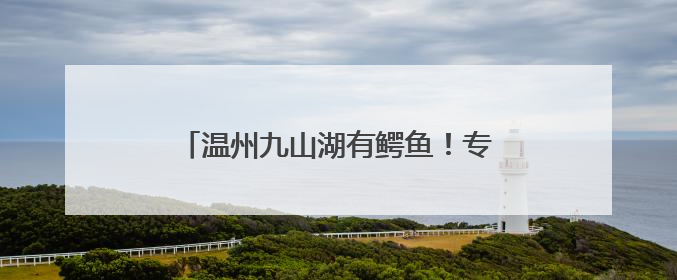 温州九山湖有鳄鱼！专家呼吁：请勿随意放生