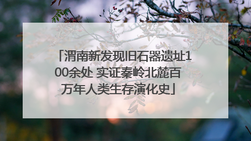 渭南新发现旧石器遗址100余处 实证秦岭北麓百万年人类生存演化史