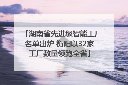 湖南省先进级智能工厂名单出炉 衡阳以32家工厂数量领跑全省
