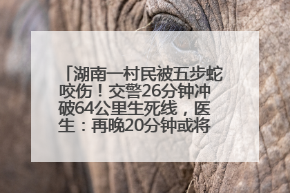 湖南一村民被五步蛇咬伤！交警26分钟冲破64公里生死线，医生：再晚20分钟或将呼吸肌麻痹