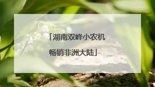 湖南双峰小农机畅销非洲大陆