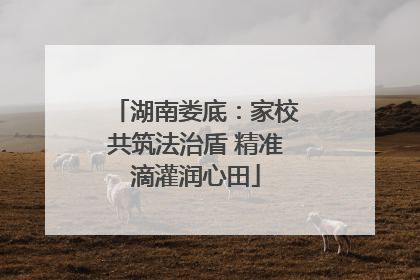 湖南娄底：家校共筑法治盾 精准滴灌润心田