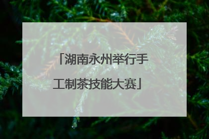 湖南永州举行手工制茶技能大赛
