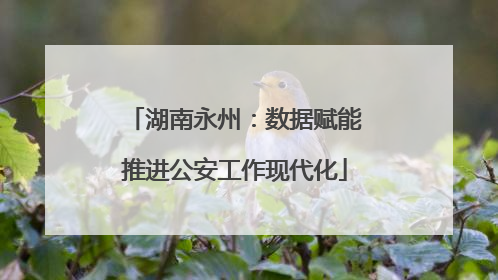 湖南永州：数据赋能推进公安工作现代化