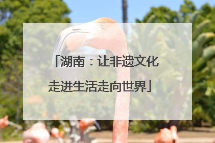 湖南：让非遗文化走进生活走向世界