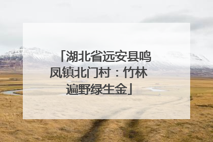 湖北省远安县鸣凤镇北门村：竹林遍野绿生金