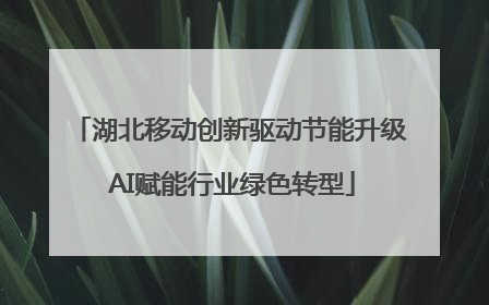 湖北移动创新驱动节能升级 AI赋能行业绿色转型