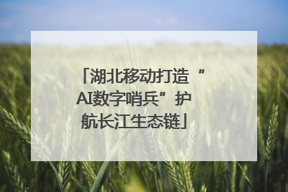 湖北移动打造“AI数字哨兵”护航长江生态链