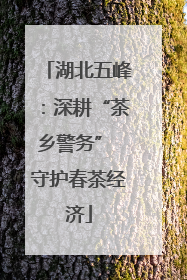 湖北五峰：深耕“茶乡警务” 守护春茶经济