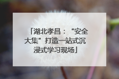 湖北孝昌：“安全大集”打造一站式沉浸式学习现场