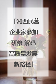湘西民营企业家参加研修 解码高质量发展新路径