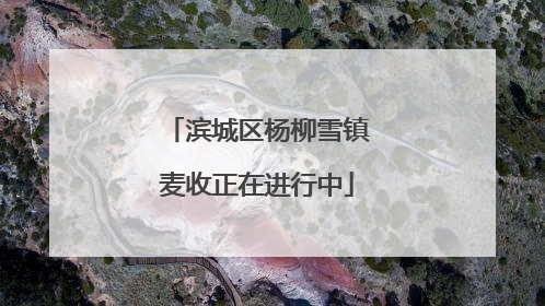 滨城区杨柳雪镇麦收正在进行中