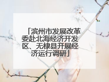 滨州市发展改革委赴北海经济开发区、无棣县开展经济运行调研