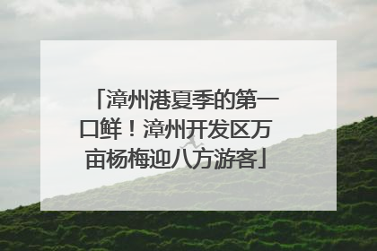 漳州港夏季的第一口鲜！漳州开发区万亩杨梅迎八方游客