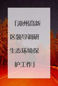 漳州高新区领导调研生态环境保护工作