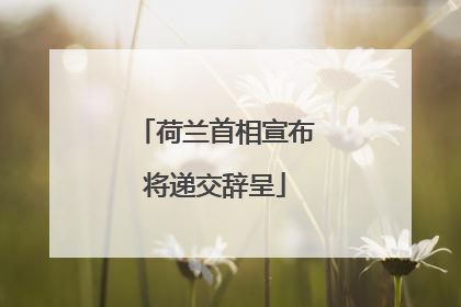 荷兰首相宣布将递交辞呈