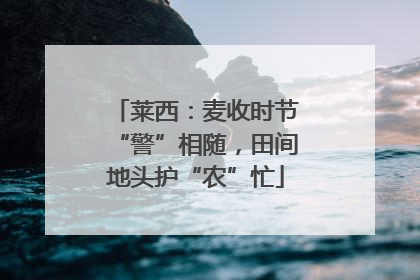 莱西：麦收时节“警”相随，田间地头护“农”忙