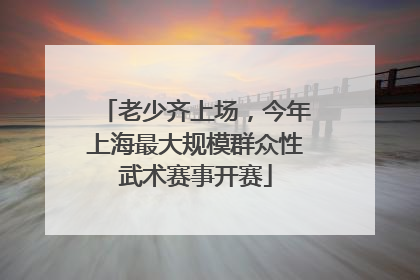 老少齐上场，今年上海最大规模群众性武术赛事开赛