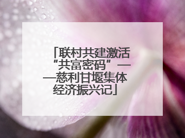联村共建激活“共富密码”——慈利甘堰集体经济振兴记