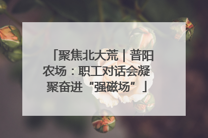 聚焦北大荒｜普阳农场：职工对话会凝聚奋进“强磁场”