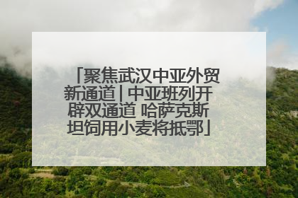 聚焦武汉中亚外贸新通道│中亚班列开辟双通道 哈萨克斯坦饲用小麦将抵鄂