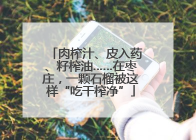 肉榨汁、皮入药、籽榨油……在枣庄，一颗石榴被这样“吃干榨净”