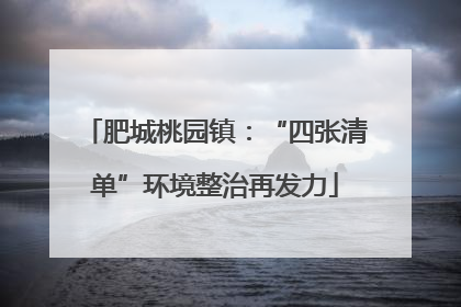 肥城桃园镇：“四张清单”环境整治再发力