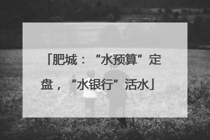 肥城：“水预算”定盘，“水银行”活水