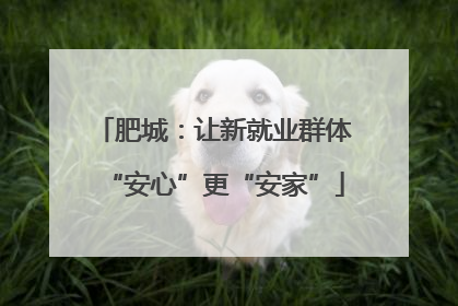 肥城：让新就业群体“安心”更“安家”