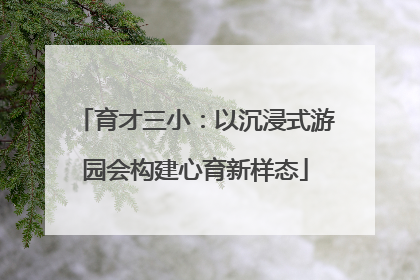 育才三小：以沉浸式游园会构建心育新样态
