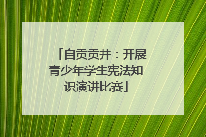 自贡贡井：开展青少年学生宪法知识演讲比赛