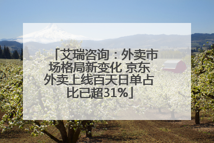 艾瑞咨询：外卖市场格局新变化 京东外卖上线百天日单占比已超31%