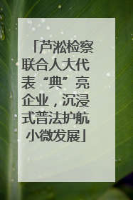 芦淞检察联合人大代表“典”亮企业，沉浸式普法护航小微发展