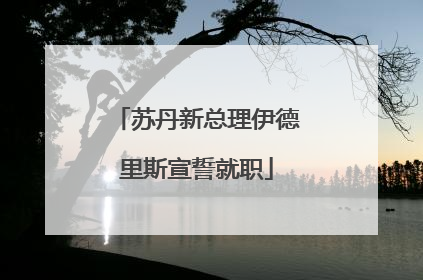 苏丹新总理伊德里斯宣誓就职
