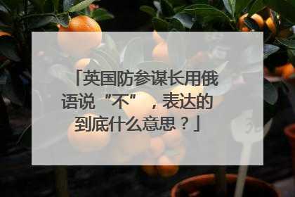 英国防参谋长用俄语说“不”，表达的到底什么意思？