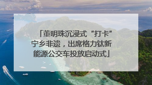 董明珠沉浸式“打卡”宁乡非遗，出席格力钛新能源公交车投放启动式