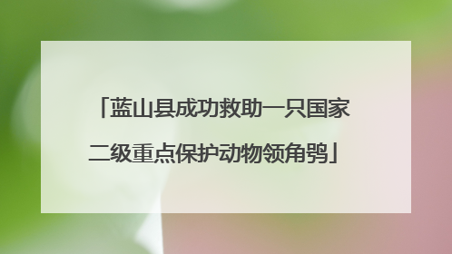 蓝山县成功救助一只国家二级重点保护动物领角鸮