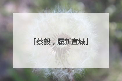蔡毅，履新宣城