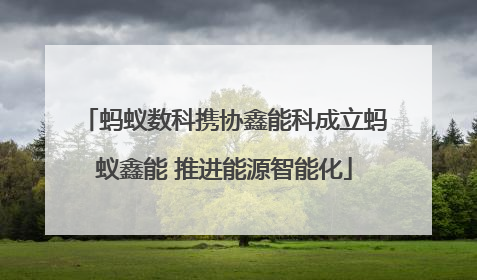 蚂蚁数科携协鑫能科成立蚂蚁鑫能 推进能源智能化