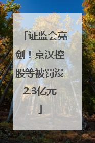 证监会亮剑！京汉控股等被罚没2.3亿元