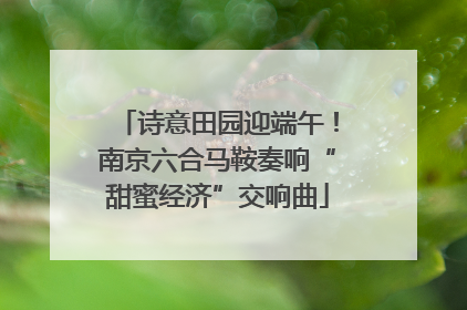 诗意田园迎端午！南京六合马鞍奏响“甜蜜经济”交响曲