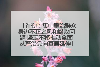 许勤：集中整治群众身边不正之风和腐败问题 坚定不移推动全面从严治党向基层延伸