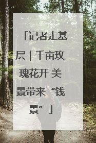 记者走基层｜千亩玫瑰花开 美景带来“钱景”