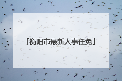 衡阳市最新人事任免