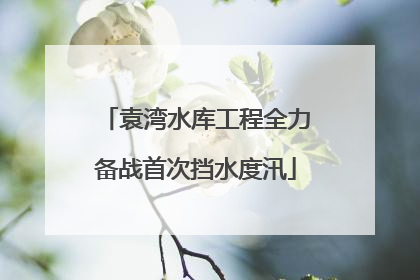 袁湾水库工程全力备战首次挡水度汛