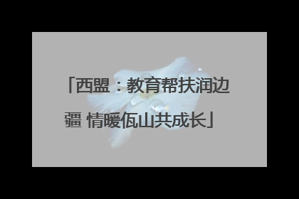 西盟：教育帮扶润边疆 情暖佤山共成长