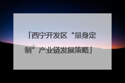 西宁开发区“量身定制”产业链发展策略