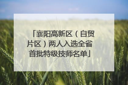 襄阳高新区（自贸片区）两人入选全省首批特级技师名单