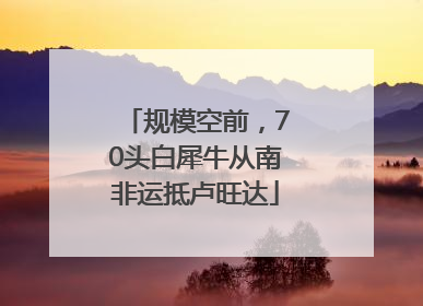 规模空前，70头白犀牛从南非运抵卢旺达