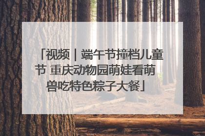 视频｜端午节撞档儿童节 重庆动物园萌娃看萌兽吃特色粽子大餐